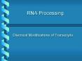 RNA Processing