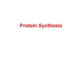 Protein Synthesis