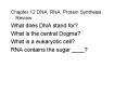 Chapter 12 DNA, RNA, Protein Synthesis Review