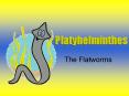 Platyhelminthes