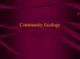 Community Ecology