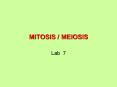 MITOSIS MEIOSIS