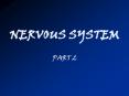 NERVOUS SYSTEM
