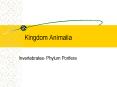 Kingdom Animalia