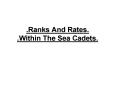 'Ranks And Rates' 'Within The Sea Cadets'