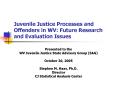Juvenile Justice Processes and Offenders in WV: Future Research and Evaluation Issues