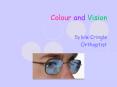 Colour and Vision