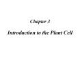 Biology of Plants