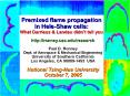 Premixed flame propagation in HeleShaw cells: What Darrieus