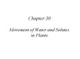 Chapter 30 Movement of Water and Solutes in Plants