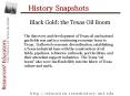 History Snapshots