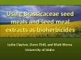 Using Brassicaceae seed meals and seed meal extracts as bioherbicides