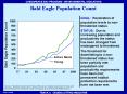 Bald Eagle Population Count
