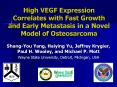 High VEGF Expression Correlates with Fast Growth and Early Metastasis in a Novel Model of Osteosarco