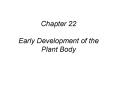 Chapter 22 Early Development of the Plant Body