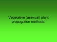 Vegetative asexual plant propagation methods'
