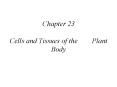 Chapter 23 Cells and Tissues of the Plant Body