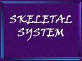 SKELETAL SYSTEM