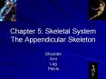 Chapter 5: Skeletal System The Appendicular Skeleton