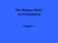 The Human Body: An Orientation
