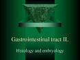 Gastrointestinal tract II'