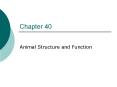 Animal Structure and Function