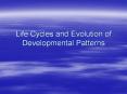 Life Cycles and Evolution of Developmental Patterns