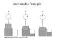 Archimedes Principle