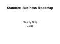 Standard Business Roadmap