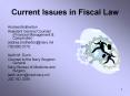 Current Issues in Fiscal Law