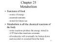 Chapter 25 Metabolism
