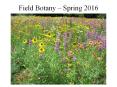 Field Botany Spring 2008