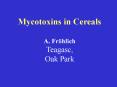 Mycotoxins in Cereals