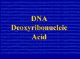DNA