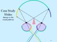 Case Study Slides damage to the visual pathway