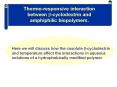 Thermoresponsive interaction between cyclodextrin and amphiphilic biopolymers'