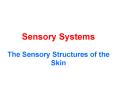 Sensory Systems