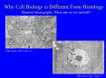 Why Cell Biology is Different From Histology