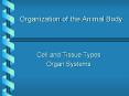 Organization of the Animal Body