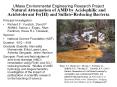UMass Environmental Engineering Research Project Natural Attenuation of AMD by Acidophilic and Acido