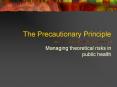 The Precautionary Principle