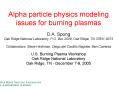 Alpha particle physics modeling issues for burning plasmas D'A' Spong Oak Ridge National Laboratory,