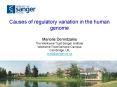 Causes of regulatory variation in the human genome