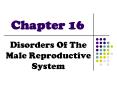 Disorders Of The Male Reproductive System