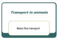 Transport in animals