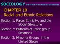 CHAPTER 10 Racial and Ethnic Relations