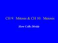 CH 9: Mitosis