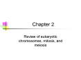 Review of eukaryotic chromosomes, mitosis, and meiosis