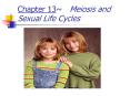 Chapter 13Meiosis and Sexual Life Cycles