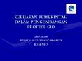 KEBIJAKAN PEMERINTAH DALAM PENGEMBANGAN PROFESI CIO